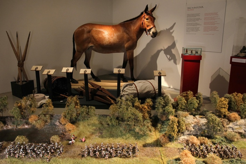 Blick in die Ausstellung mit Marsch-Diorama und Maultier Renate. Fotos: Max Foerster, Sarah Khosh-Amoz