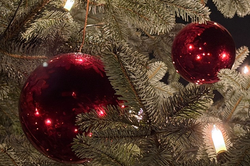 Symbolbild: Ludwig Schrätzenstaller