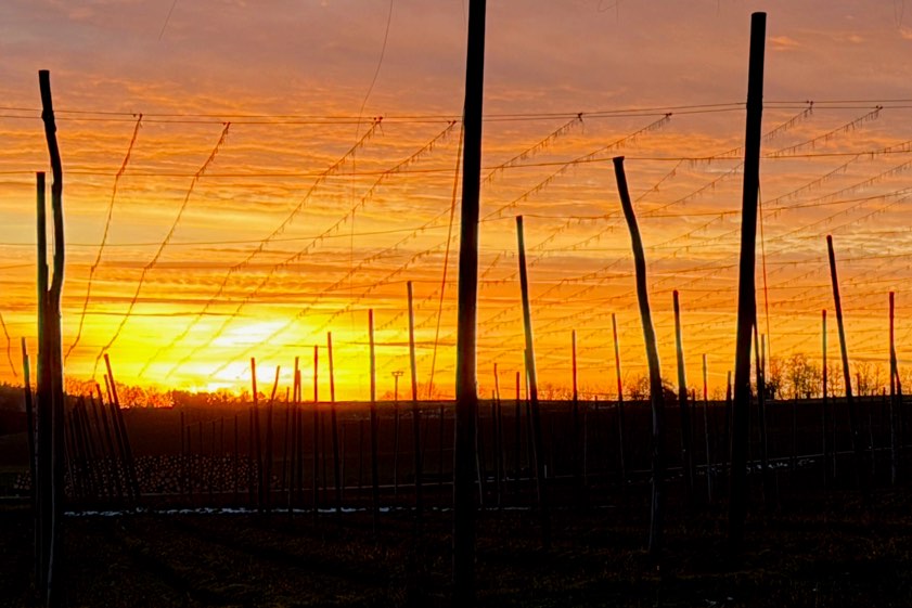 Foto: Ludwig Schrätzenstaller