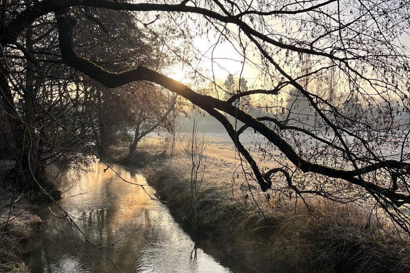 Foto: Stephanie Fierenkothen